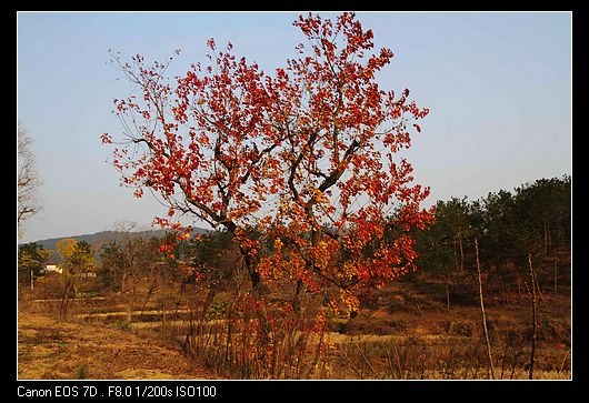 dpp_0051.jpg