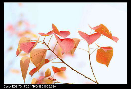 dpp_0035.jpg