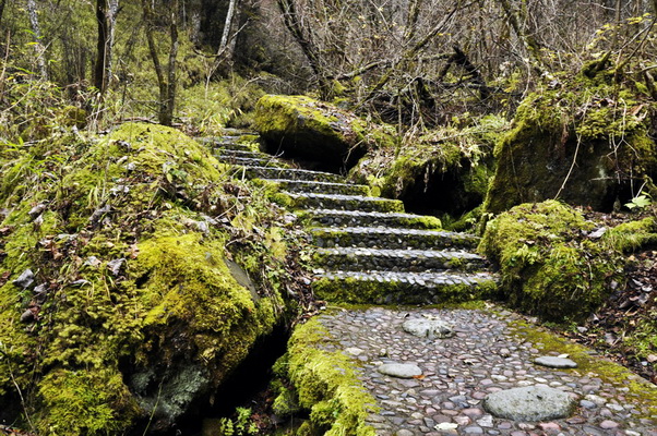 _dsc0975.jpg
