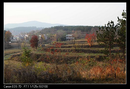 dpp_0054.jpg