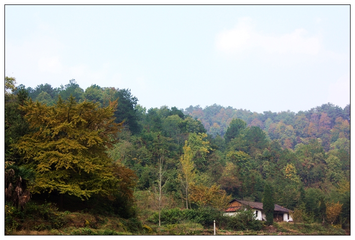 img_5500p.jpg