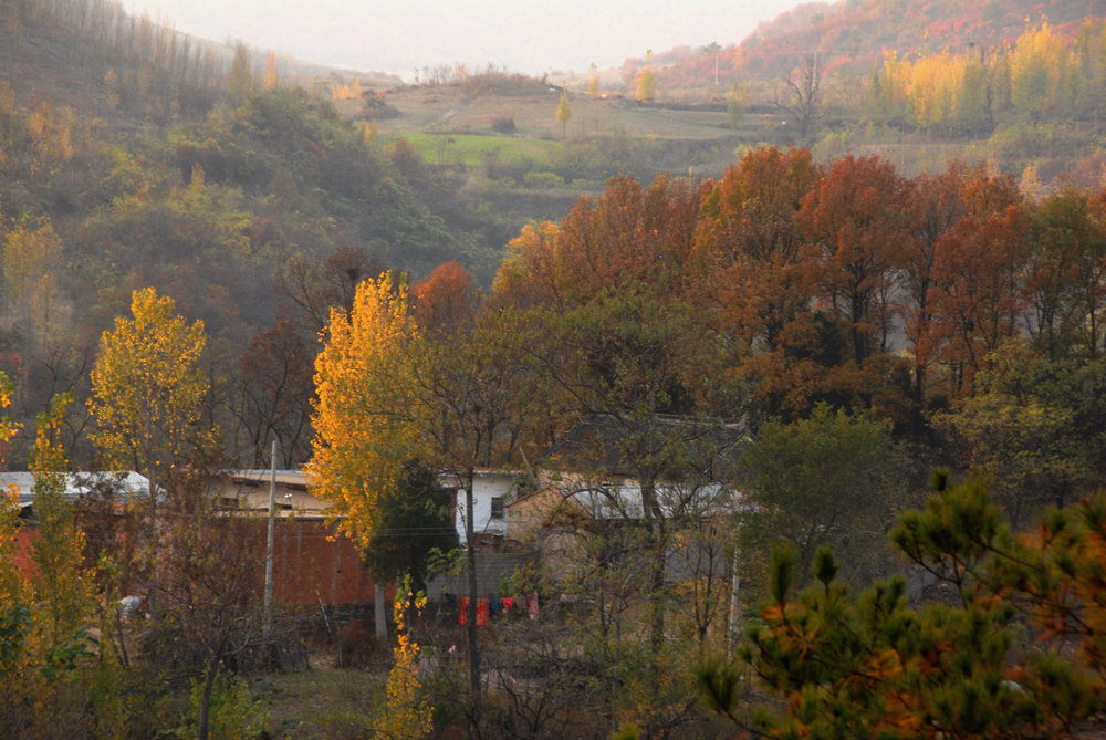 dsc_0197.jpg