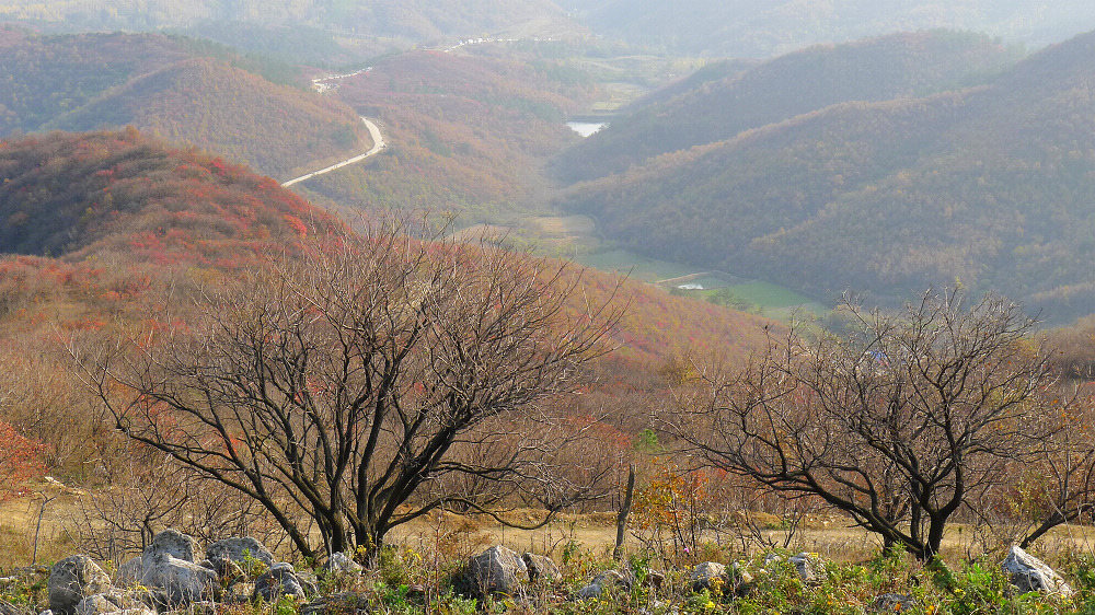 p1020783.jpg