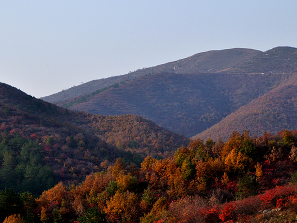 dsc_0266_.jpg