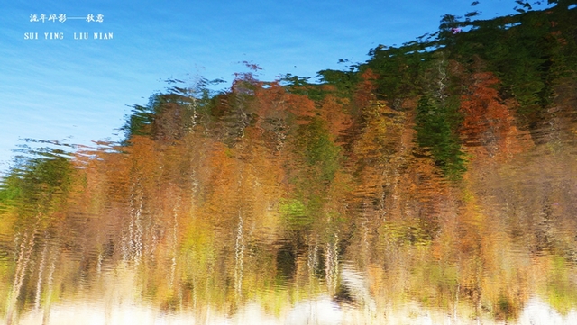 p1010244.jpg