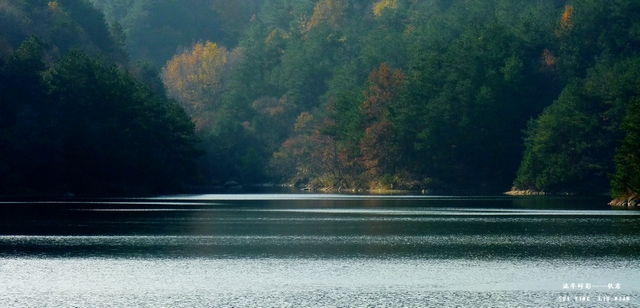 p1010253.jpg