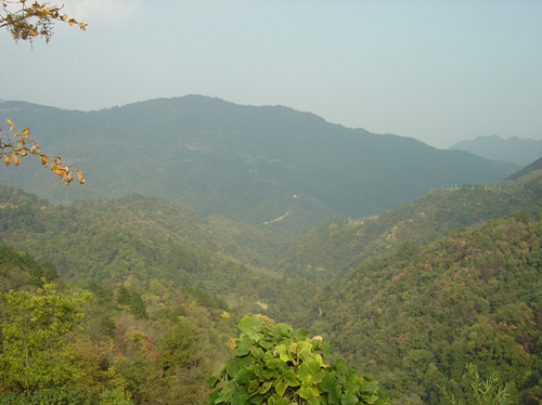 dsc05732__.jpg