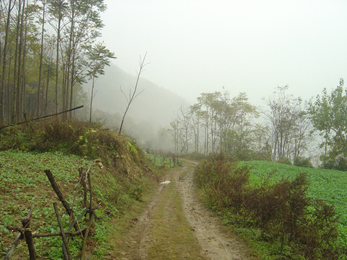 dsc05738__.jpg
