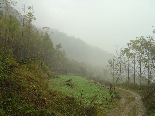 dsc05739__.jpg