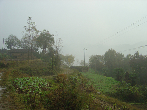 dsc05733__.jpg