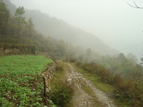 dsc05740__.jpg