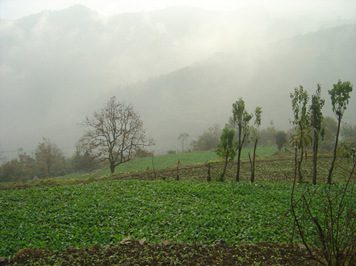 dsc05742__.jpg