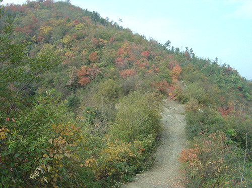 dsc05723__.jpg