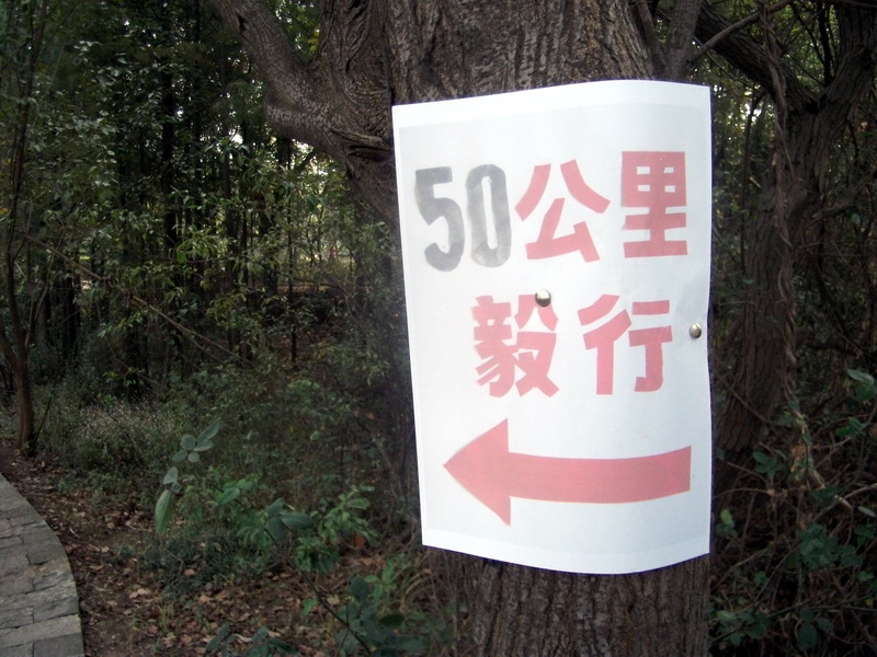 dscf0217.jpg