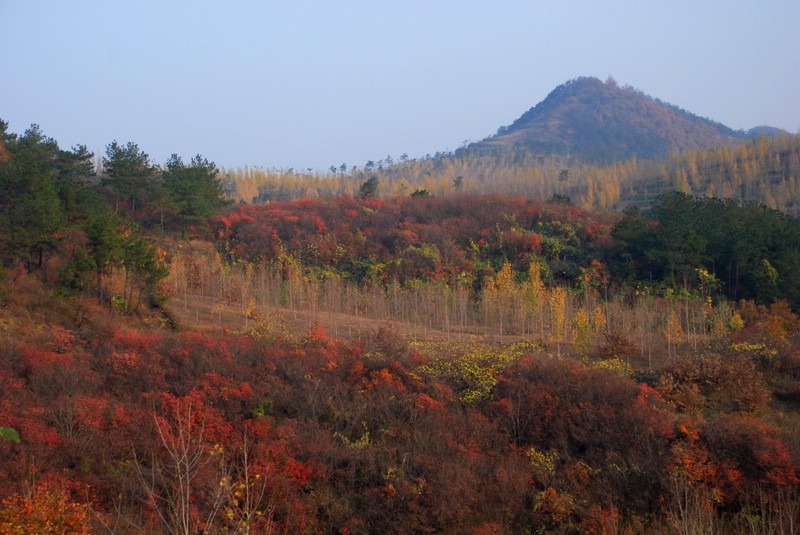 dsc_0429.jpg