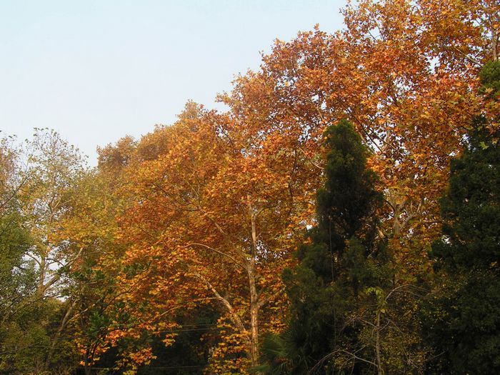 pict0036-1.jpg