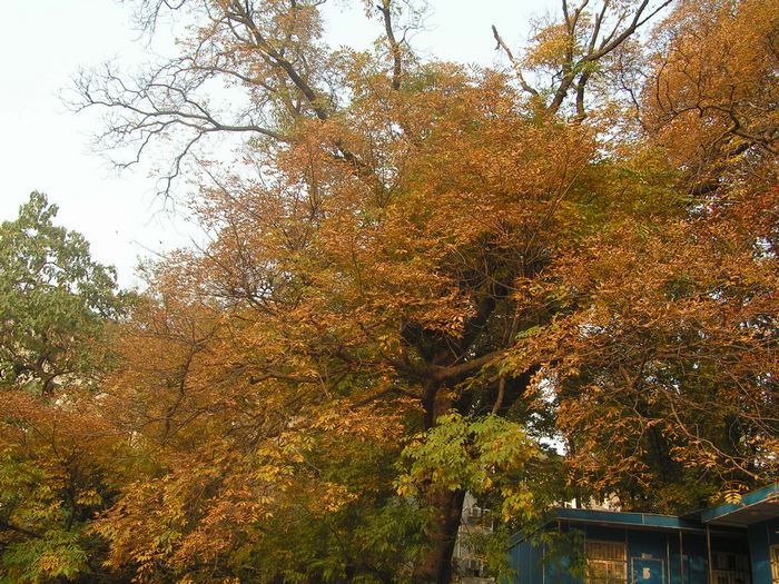 pict0038-1.jpg