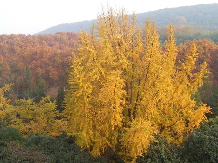 pict0093-1.jpg