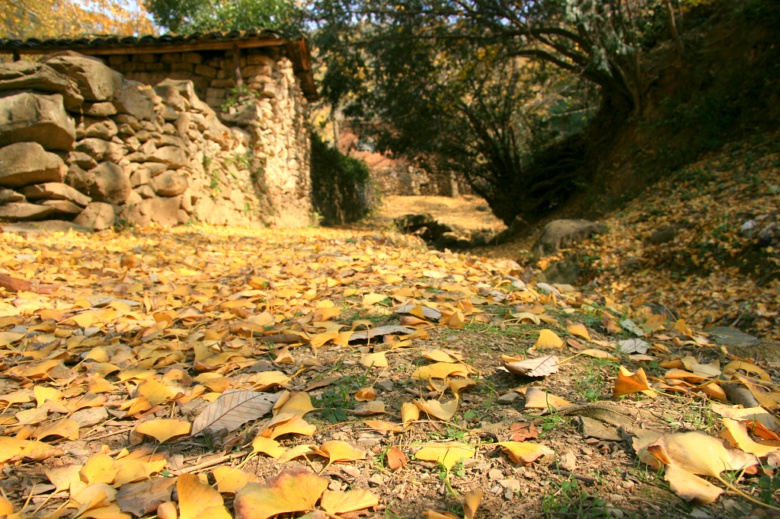 ǮҶ 083.jpg