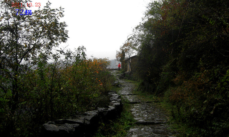 img_4409_1.jpg