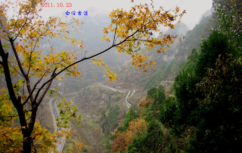 img_4573_1.jpg