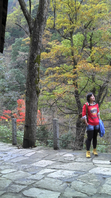 2011-10-30_12-56-06_591.jpg
