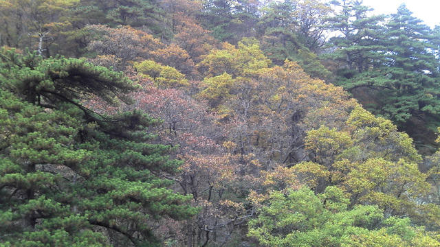 2011-10-30_13-26-38_405.jpg
