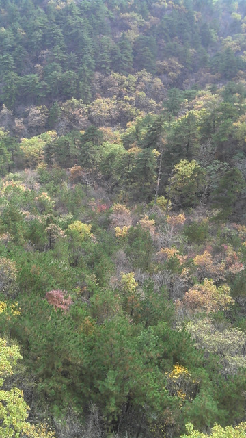 2011-10-30_13-31-09_320.jpg