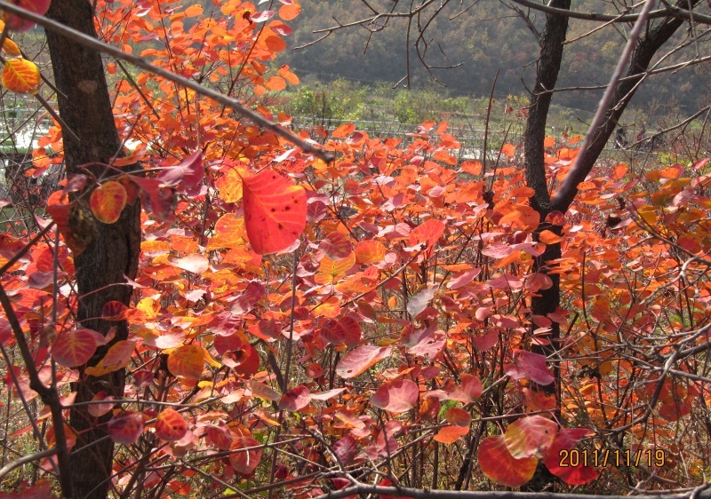 img_5249.jpg