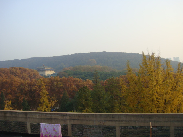dsc04249.jpg