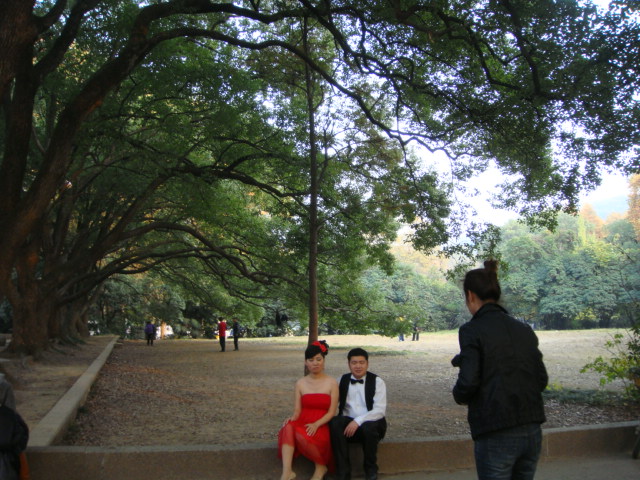 dsc04264.jpg