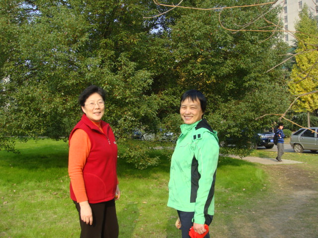 dsc04174.jpg