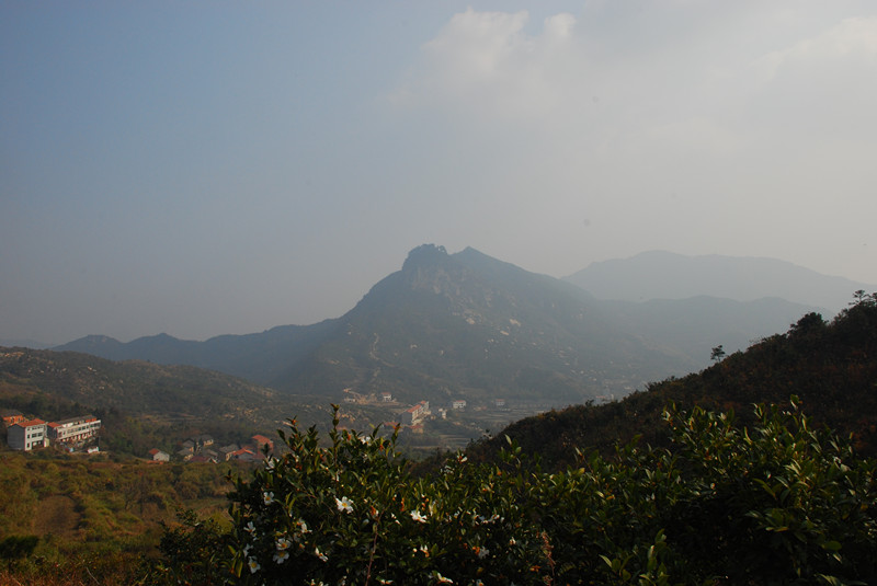 dsc_0153_.jpg