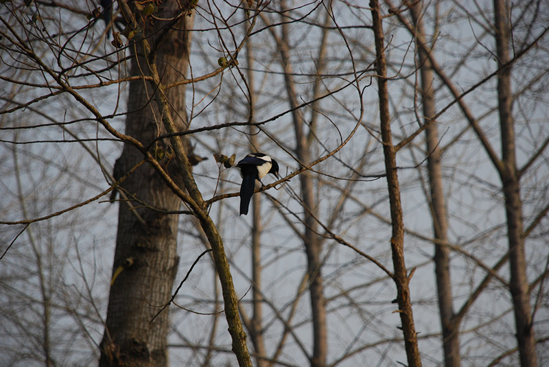 dsc_0214_.jpg