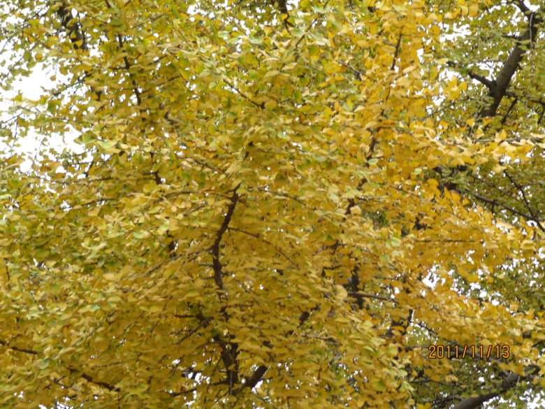 img_5080.jpg