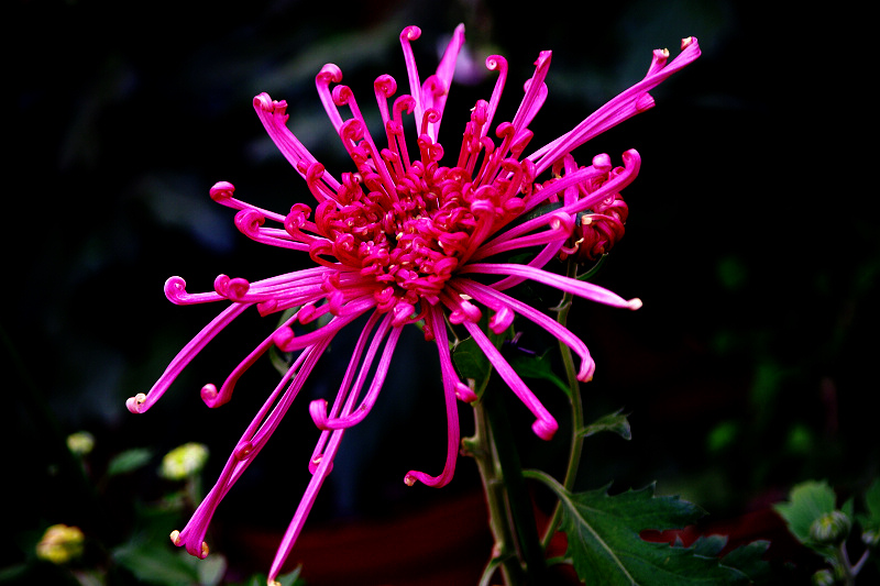 imgp9701.jpg