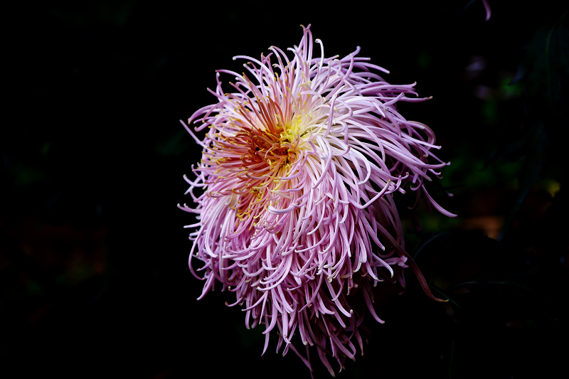 imgp9730.jpg