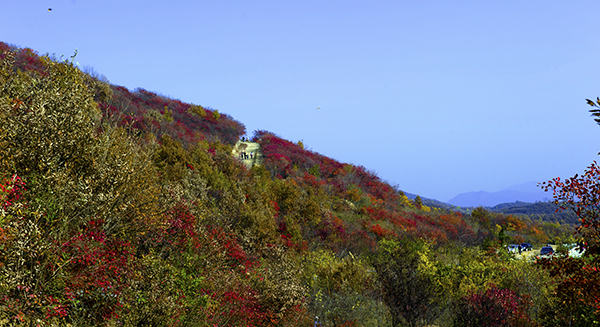 _dsc8668a.jpg