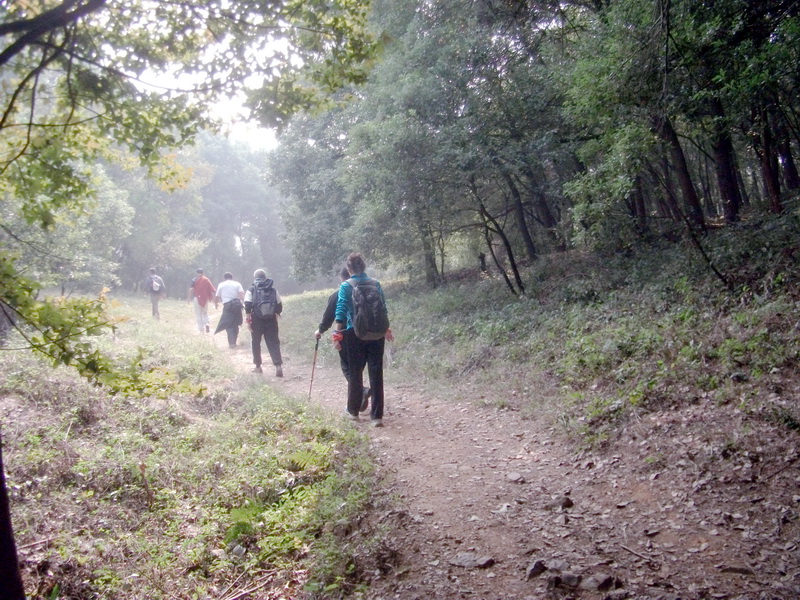 dscf0240.jpg