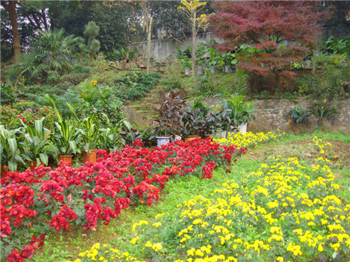 dsc04374_.jpg