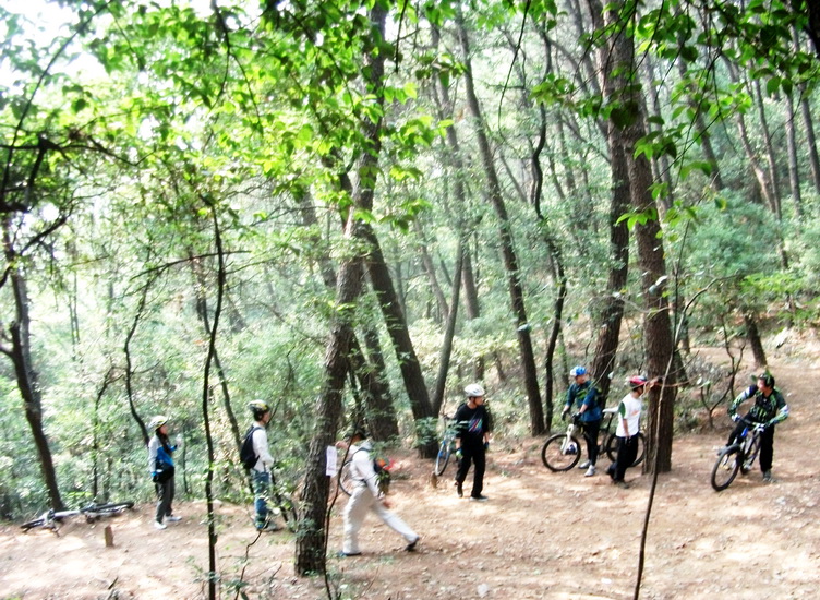 dscf0242.jpg