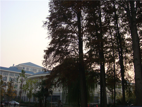 dsc04451_.jpg