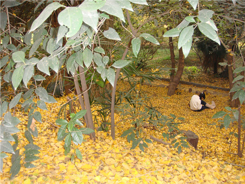 dsc04287_.jpg