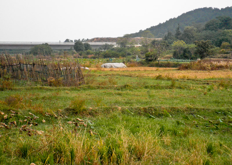pa300039-2.jpg