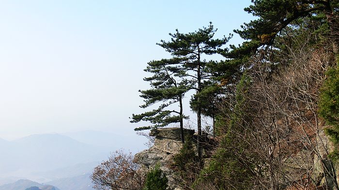p1170631.jpg