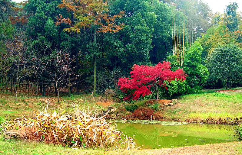 dscn1852_.jpg