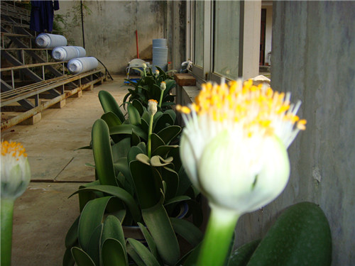 dsc04412_.jpg
