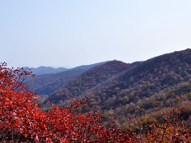 dsc_0079_.jpg