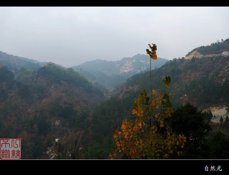 l1250696.jpg
