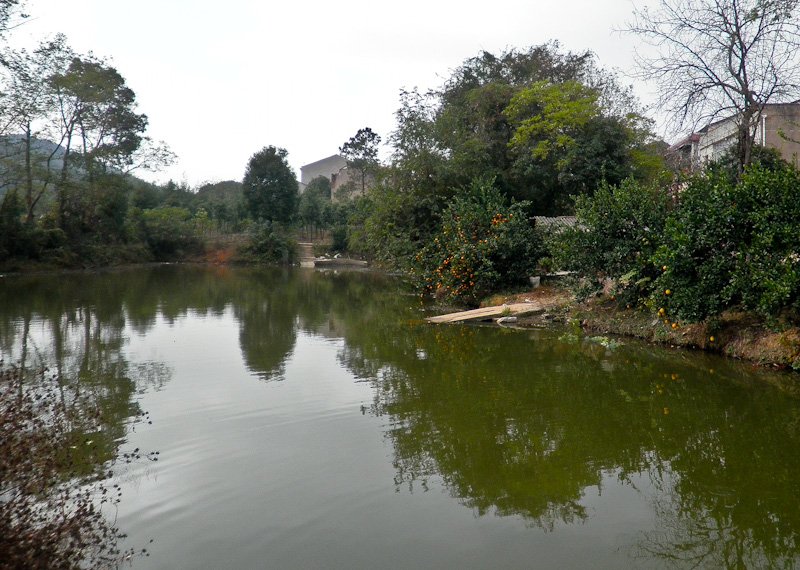pa300037-2.jpg
